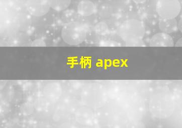 手柄 apex